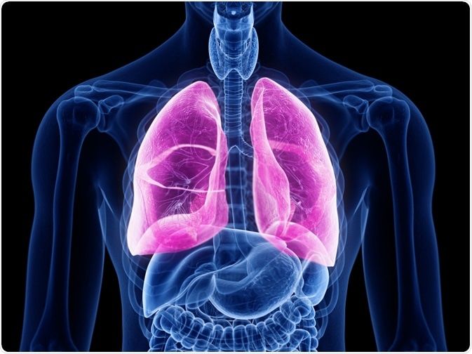 Lung fibrosis in 134 patients with corona; 13.72% of patients are health care workers | कोरोनाच्या १३४ रुग्णांना ‘लंग फायब्रोसिस’; १३.७२ टक्के रुग्ण हे ‘हेल्थ केअर वर्कर’ Lung fibrosis in 134 patients with corona; 13.72% of patients are health care workers | कोरोनाच्या १३४ रुग्णांना ‘लंग फायब्रोसिस’; १३.७२ टक्के रुग्ण हे ‘हेल्थ केअर वर्कर’
