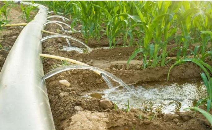 Water conservation works closed through integrated watershed | एकात्मिक पाणलोटच्या माध्यमातून जलसंधारणाची कामे बंद Water conservation works closed through integrated watershed | एकात्मिक पाणलोटच्या माध्यमातून जलसंधारणाची कामे बंद