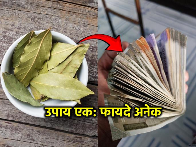 Special Yoga for March 6: Keep 'this' leaf in your purse; money will be added to money and hospital visits will stop! | ६ मार्च विशेष योग: पर्समध्ये ठेवा 'हे' पान; पैशाला पैसा जोडला जाईल आणि हॉस्पिटलच्या फेऱ्या थांबतील! Special Yoga for March 6: Keep 'this' leaf in your purse; money will be added to money and hospital visits will stop! | ६ मार्च विशेष योग: पर्समध्ये ठेवा 'हे' पान; पैशाला पैसा जोडला जाईल आणि हॉस्पिटलच्या फेऱ्या थांबतील!