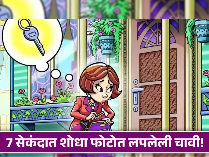 Optical illusion : Can you find the hidden key in this photo | जीनिअस असाल तर 7 सेकंदात शोधून दाखवा फोटोतील चावी, बरेचजण झालेत फेल!