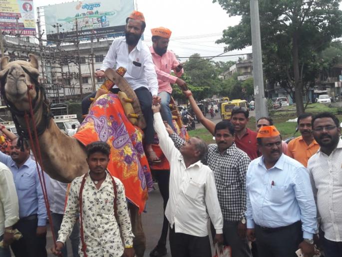 Respecting the reservation, greetings to Shivaraya on behalf of the camel sugar | आरक्षणाचा आनंद, शिवरायांना अभिवादन करत उंटावरून साखर वाटली Respecting the reservation, greetings to Shivaraya on behalf of the camel sugar | आरक्षणाचा आनंद, शिवरायांना अभिवादन करत उंटावरून साखर वाटली