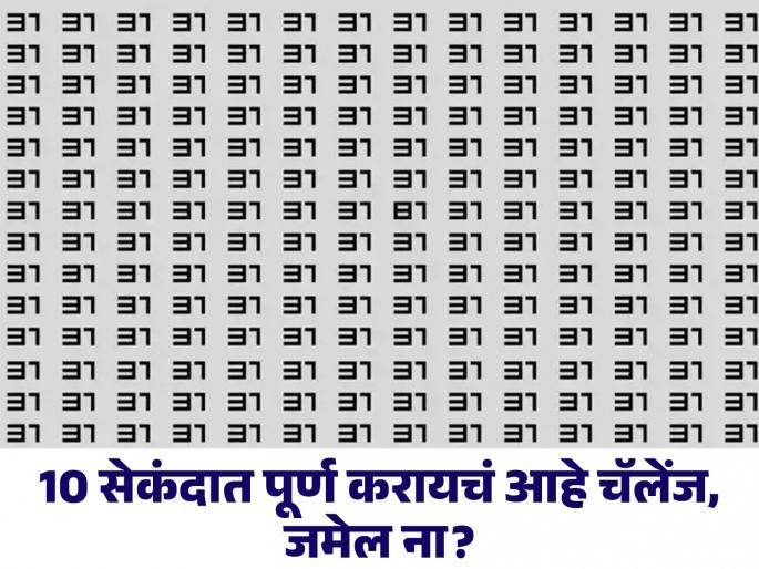 Optical Illusion : Spot The Hidden Number 81 along with 31 Number in This Picture | जीनिअस असाल तर 31 नंबरमध्ये शोधून दाखवा 81 नंबर, बरेच लोक झाले फेल! Optical Illusion : Spot The Hidden Number 81 along with 31 Number in This Picture | जीनिअस असाल तर 31 नंबरमध्ये शोधून दाखवा 81 नंबर, बरेच लोक झाले फेल!