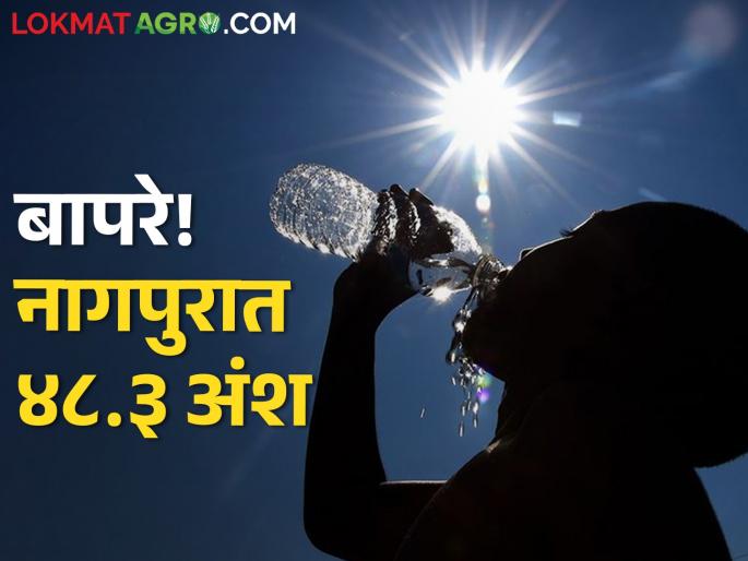 Today's Temperature: 48.3 in Nagpur! Highest temperature recorded in the state today | बापरे, नागपुरात 48.3! राज्यात आज सर्वाधिक तापमानाची नोंद Today's Temperature: 48.3 in Nagpur! Highest temperature recorded in the state today | बापरे, नागपुरात 48.3! राज्यात आज सर्वाधिक तापमानाची नोंद