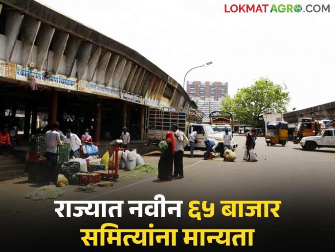 65 new agricultural produce market committees to be started in the state; Read in detail for district-wise list | राज्यात सुरु होणार नवीन ६५ कृषी उत्पन्न बाजार समित्या; जिल्हानिहाय यादीसाठी वाचा सविस्तर 65 new agricultural produce market committees to be started in the state; Read in detail for district-wise list | राज्यात सुरु होणार नवीन ६५ कृषी उत्पन्न बाजार समित्या; जिल्हानिहाय यादीसाठी वाचा सविस्तर