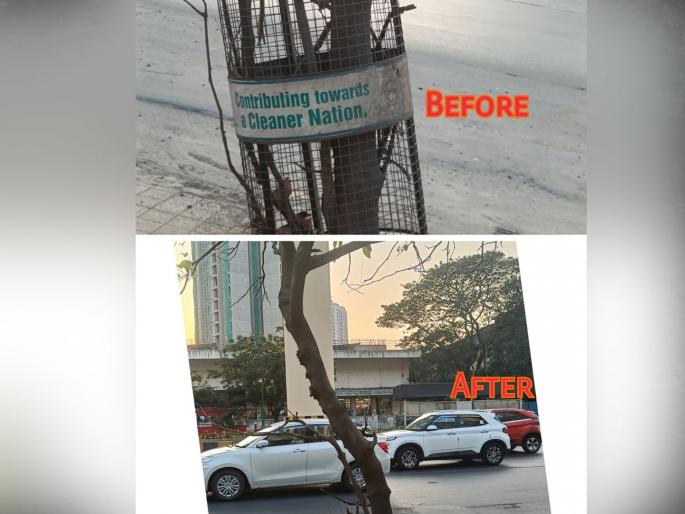 The iron cages were removed and the trees breathed freely | लोखंडी पिंजरे काढून झाडांनी घेतला मोकळा श्वास The iron cages were removed and the trees breathed freely | लोखंडी पिंजरे काढून झाडांनी घेतला मोकळा श्वास