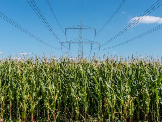 Full time power supply to 25,000 farmers during the day | २५ हजार शेतकऱ्यांना दिवसा पूर्णवेळ वीजपुरवठा Full time power supply to 25,000 farmers during the day | २५ हजार शेतकऱ्यांना दिवसा पूर्णवेळ वीजपुरवठा