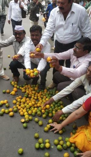 Farmers in the suburbs felt orange in the streets | उपराजधानीत शेतकऱ्यांनी रस्त्यावर वाटली सडकी संत्री Farmers in the suburbs felt orange in the streets | उपराजधानीत शेतकऱ्यांनी रस्त्यावर वाटली सडकी संत्री