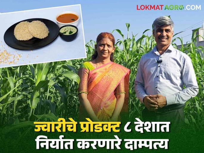 Sorghum couple exporting sorghum products to 8 countries! Local sorghum has been given global recognition | Sorghum : ज्वारीचे प्रोडक्ट ८ देशात निर्यात करणारे दाम्पत्य! लोकल ज्वारीला दिली ग्लोबल ओळख Sorghum couple exporting sorghum products to 8 countries! Local sorghum has been given global recognition | Sorghum : ज्वारीचे प्रोडक्ट ८ देशात निर्यात करणारे दाम्पत्य! लोकल ज्वारीला दिली ग्लोबल ओळख