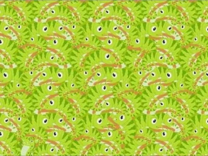 Optical Illusion : Sharp eyes person will able to find crocodile in 7 seconds 99 percent fail | डोळे तीक्ष्ण आहेत असं वाटत असेल तर शोधून दाखवा या फोटोतील मगर, 7 सेकंदाची आहे वेळ Optical Illusion : Sharp eyes person will able to find crocodile in 7 seconds 99 percent fail | डोळे तीक्ष्ण आहेत असं वाटत असेल तर शोधून दाखवा या फोटोतील मगर, 7 सेकंदाची आहे वेळ