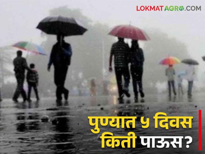 Pune Latest Rain Updates : How much rain in next 5 days in Pune? What are weather warnings? | Pune Latest Rain Updates : पुण्यात पुढील ५ दिवसांत किती पाऊस? काय आहेत हवामानाचे इशारे? Pune Latest Rain Updates : How much rain in next 5 days in Pune? What are weather warnings? | Pune Latest Rain Updates : पुण्यात पुढील ५ दिवसांत किती पाऊस? काय आहेत हवामानाचे इशारे?