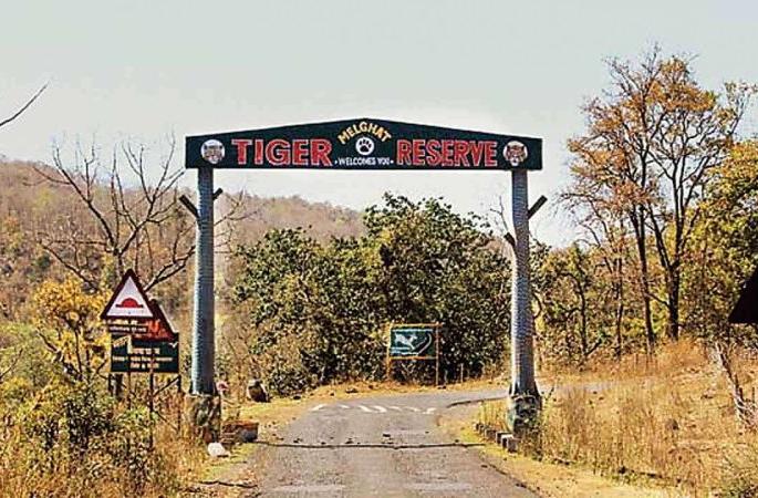 The forester of Melghat was held hostage at Raipur; Tiger officers dispatch police escort | मेळघाटच्या वनपालास रायपूर येथे ओलीस ठेवले; व्याघ्र अधिकारी पोलीस बंदोबस्त रवाना