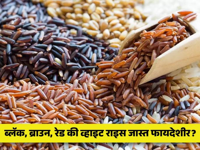 Brown, black or red rice which rice is more healthy for body | पांढरे, काळे की लाल कोणते तांदूळ जास्त फायदेशीर ठरतात?