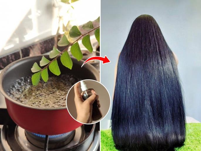 Easy Home remedy for long and strong hairs : Hair grows but breaks due to weakness, do 1 simple natural remedy for strong hair... | केस वाढतात पण कमकुवत असल्याने तुटतात, मजबूत केसांसाठी करा १ सोपा नैसर्गिक उपाय...