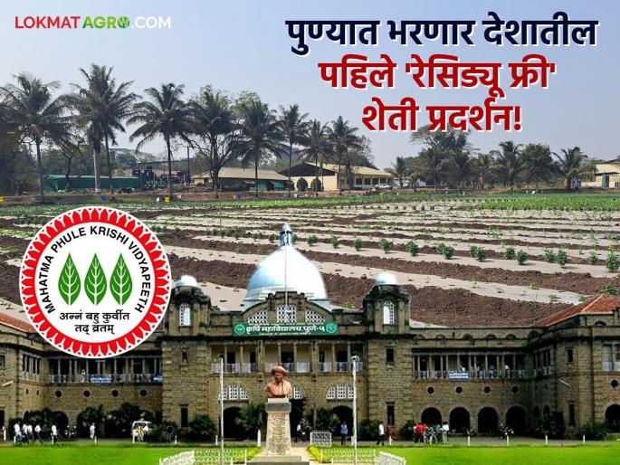 Residue Free Farming Exhibition: India's first 'Chemical Residue Free Sustainable Farming Exhibition' is being held in Pune for the first time! | Residue Free Farming Exibition : पुण्यात पहिल्यांदाच भरतंय भारतातील पहिलं 'रासायनिक अवशेषमुक्त शाश्वत शेती प्रदर्शन'! Residue Free Farming Exhibition: India's first 'Chemical Residue Free Sustainable Farming Exhibition' is being held in Pune for the first time! | Residue Free Farming Exibition : पुण्यात पहिल्यांदाच भरतंय भारतातील पहिलं 'रासायनिक अवशेषमुक्त शाश्वत शेती प्रदर्शन'!