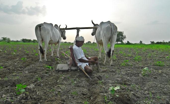 In six months, 548 farmers died | भीषण; दर आठ तासांनी एक शेतकरी करतोय आत्महत्या; सहा महिन्यांत ५४८ शेतकऱ्यांनी मृत्यूला कवटाळले In six months, 548 farmers died | भीषण; दर आठ तासांनी एक शेतकरी करतोय आत्महत्या; सहा महिन्यांत ५४८ शेतकऱ्यांनी मृत्यूला कवटाळले