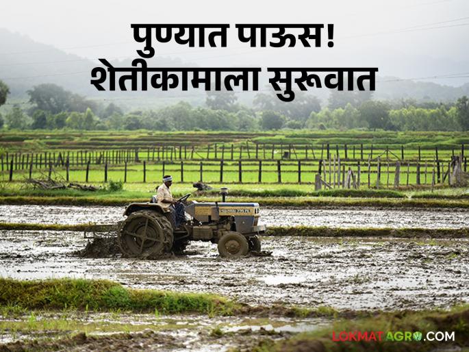 Pune Monsoon Rain: Monsoon rain has started in Pune! Acceleration of agricultural works | Pune Monsoon Rain : पुण्यात मान्सूनच्या पावसाला सुरूवात! शेतीकामांना गती Pune Monsoon Rain: Monsoon rain has started in Pune! Acceleration of agricultural works | Pune Monsoon Rain : पुण्यात मान्सूनच्या पावसाला सुरूवात! शेतीकामांना गती