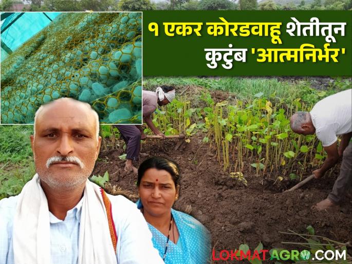 paithan deogaon dnyandeo dhakane dry land farming sericulture and goat farming success story economy grow | कोरडवाहू एका एकरातील प्रयोगामुळे झाली मजुरी बंद! मुलाच्या उच्च शिक्षणाचा खर्च करत कुटुंब बनले 'आत्मनिर्भर' paithan deogaon dnyandeo dhakane dry land farming sericulture and goat farming success story economy grow | कोरडवाहू एका एकरातील प्रयोगामुळे झाली मजुरी बंद! मुलाच्या उच्च शिक्षणाचा खर्च करत कुटुंब बनले 'आत्मनिर्भर'