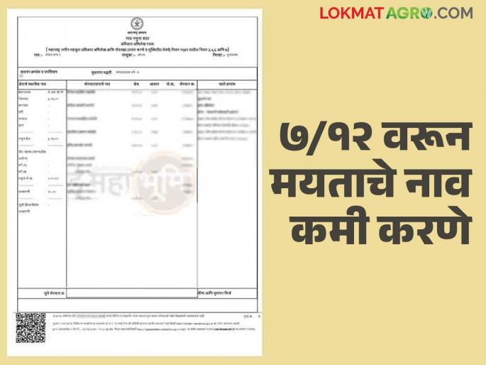 How to apply to remove the name of a dead person from the satbara? Read in detail | सातबारावरून मयत खातेदाराचे नाव कमी करण्यासाठी कसा कराल अर्ज? वाचा सविस्तर