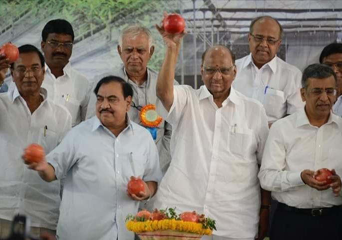 Eknath Khadse is in touch with me, intrigued by Sharad Pawar's statement | Maharashtra Election 2019: एकनाथ खडसे माझ्या संपर्कात, शरद पवारांच्या वक्तव्यानं खळबळ Eknath Khadse is in touch with me, intrigued by Sharad Pawar's statement | Maharashtra Election 2019: एकनाथ खडसे माझ्या संपर्कात, शरद पवारांच्या वक्तव्यानं खळबळ