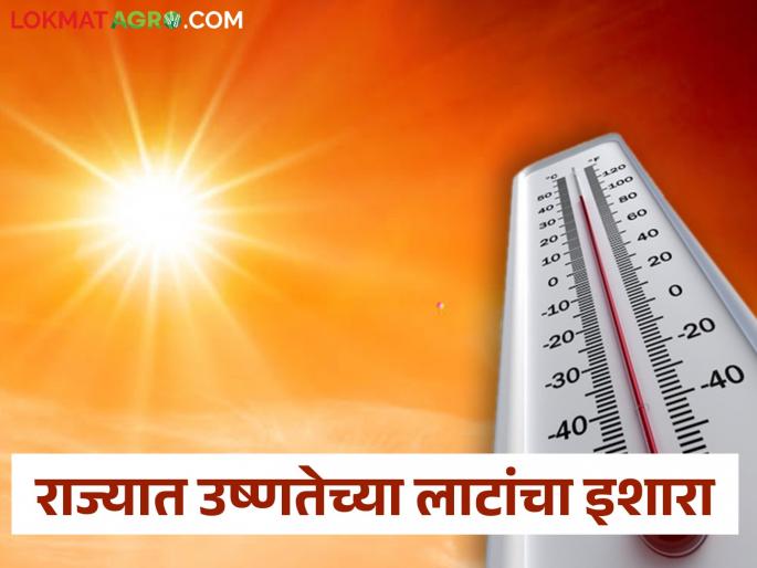 Heat Wave Maharashtra: Meteorological department has warned of heat waves in the next two months. | Heat Wave Maharashtra:हवामान विभागाने दिला उष्णतेच्या लाटांचा इशारा, पुढील दोन महिन्यात..
