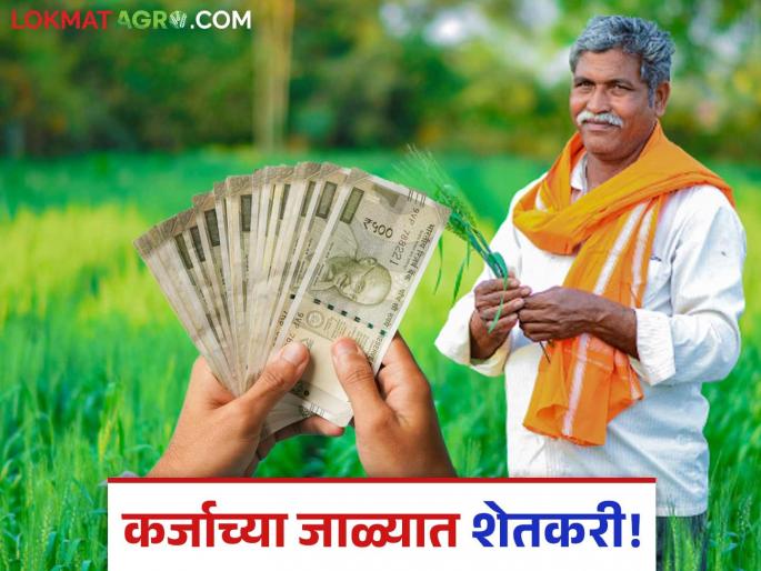 KCC Loan Farmers trapped in Kisan Credit Card loan 42% increase in NPA | KCC Loan : किसान क्रेडिट कार्डमधील कर्जाच्या विळख्यात अडकले शेतकरी! एनपीएमध्ये ४२% वाढ