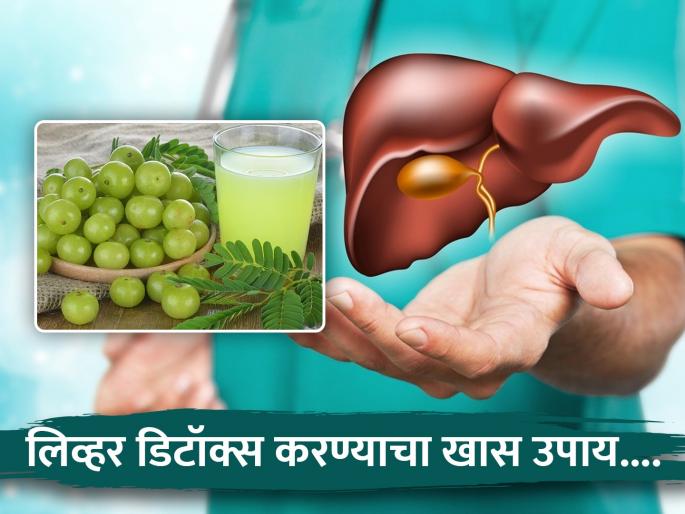 Nutritionist told how to use amla to detox your liver naturally | लिव्हरमधील विषारी पदार्थ लगेच बाहेर काढेल हे खास ज्यूस, होणार नाही काही समस्या Nutritionist told how to use amla to detox your liver naturally | लिव्हरमधील विषारी पदार्थ लगेच बाहेर काढेल हे खास ज्यूस, होणार नाही काही समस्या