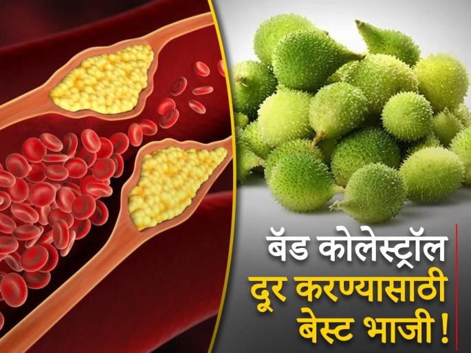 Spiny Gourd aka kantola vegetable reduce your bad cholesterol from body | शरीरातील बॅड कोलेस्ट्रॉल लगेच बाहेर काढेल ही भाजी, फायदे वाचून आजच सुरू कराल सेवन Spiny Gourd aka kantola vegetable reduce your bad cholesterol from body | शरीरातील बॅड कोलेस्ट्रॉल लगेच बाहेर काढेल ही भाजी, फायदे वाचून आजच सुरू कराल सेवन
