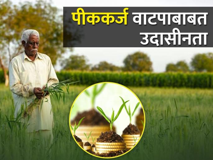 Only 45 percent of farmers are allocated crop loans! | केवळ ४५ टक्केच शेतकऱ्यांना पीककर्ज वाटप! Only 45 percent of farmers are allocated crop loans! | केवळ ४५ टक्केच शेतकऱ्यांना पीककर्ज वाटप!