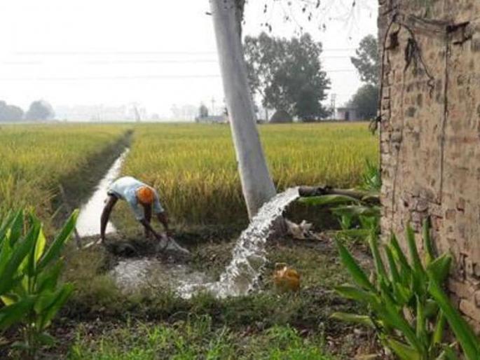 Agriculture has to pay Rs 4 crore daily for electricity; Swabhimani's report | शेतीला दिवसा विजेसाठी मोजावे लागणार रोजचे चार कोटी रुपये; स्वाभिमानीचा अहवाल Agriculture has to pay Rs 4 crore daily for electricity; Swabhimani's report | शेतीला दिवसा विजेसाठी मोजावे लागणार रोजचे चार कोटी रुपये; स्वाभिमानीचा अहवाल