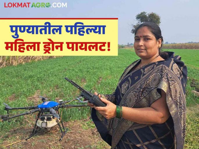 Women Drone Pilot Nilamtai from Daund becomes the 'first woman drone pilot' in Pune district! | Women Drone Pilot : दौंडच्या निलमताई बनल्या पुणे जिल्ह्यातील 'पहिल्या महिला ड्रोन पायलट'! Women Drone Pilot Nilamtai from Daund becomes the 'first woman drone pilot' in Pune district! | Women Drone Pilot : दौंडच्या निलमताई बनल्या पुणे जिल्ह्यातील 'पहिल्या महिला ड्रोन पायलट'!
