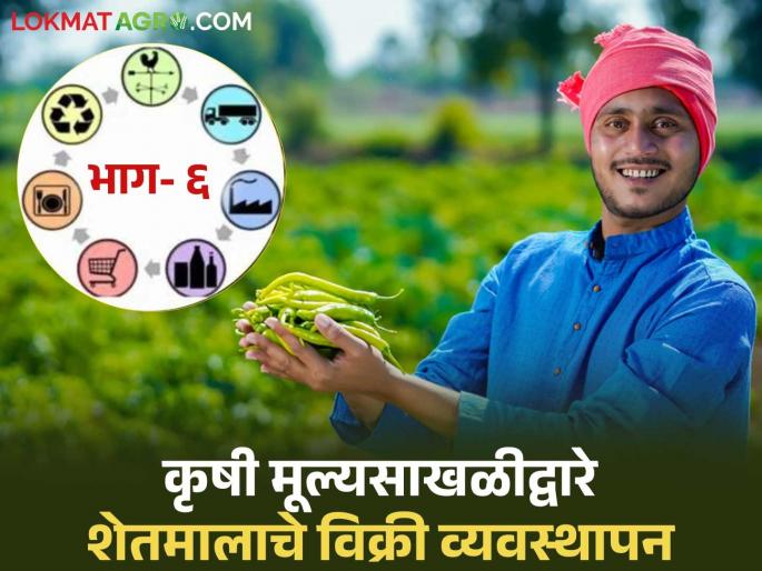 Farmers, markets and consumers! Farm product sales management through agricultural value chain through farmer companies and cooperatives | शेतकरी, बाजारपेठा अन् ग्राहक! शेतकरी कंपन्या व सहकारी संस्थांमार्फत कृषि मूल्यसाखळीद्वारे शेतमाल विक्री व्यवस्थापन