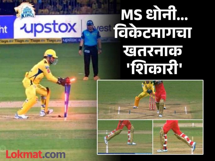 IPL 2025 CSK vs RCB MS Dhoni Again Quick Stumping Phil Salt Falls Into Noor Ahmad's Trap Watch Video | MS Dhoni Faster Than Light Stumping : धोनीनं विकेटमागे सॉल्टची केलेली 'शिकार' बघून कोहलीही स्तब्ध