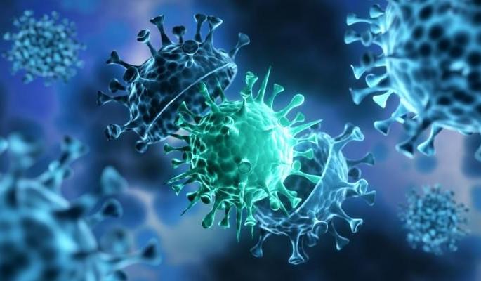 Outbreak corona; Mother dies with two young children; Incidents in Wardha district | प्रकोप कोरोनाचा; दोन तरुण मुलांसह मातेचे निधन; वर्धा जिल्ह्यातील घटना Outbreak corona; Mother dies with two young children; Incidents in Wardha district | प्रकोप कोरोनाचा; दोन तरुण मुलांसह मातेचे निधन; वर्धा जिल्ह्यातील घटना