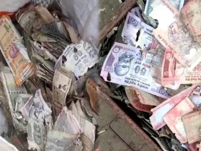 Hard earned money earned by a businessman turned into scrap papers in Andhra Pradesh | नशीबाची थट्टा! घरासाठी पै पै जोडले अन् ट्रंकमध्ये ठेवले; उघडून पाहतो तर काय... Hard earned money earned by a businessman turned into scrap papers in Andhra Pradesh | नशीबाची थट्टा! घरासाठी पै पै जोडले अन् ट्रंकमध्ये ठेवले; उघडून पाहतो तर काय...