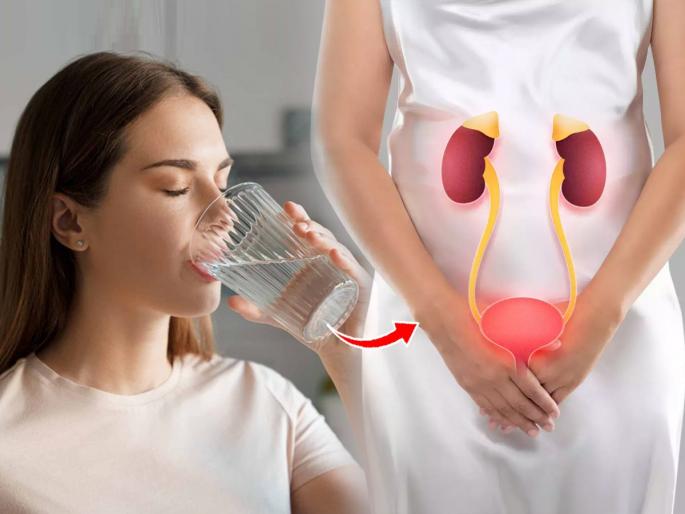 Tips About Drinking Water : 4 things you should know about drinking water, experts say, the right way to drink water... | पाणी पिण्याबाबत माहित असायलाच हव्यात ४ गोष्टी, तज्ज्ञ सांगतात, पाणी पिण्याची योग्य पद्धत...