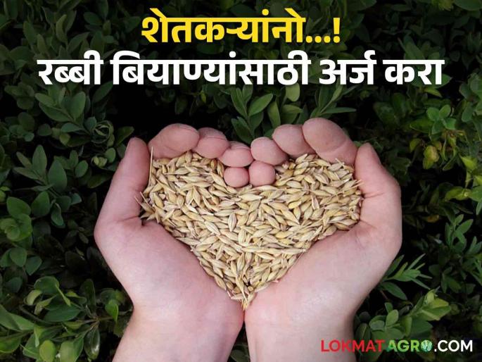 Rabi Season Application for seeds subsidy and distribution can be made during Rabi season | Rabi Season : रब्बी हंगामात बियाण्यांसाठी करता येणार अर्ज; 'ही' आहे शेवटची तारीख Rabi Season Application for seeds subsidy and distribution can be made during Rabi season | Rabi Season : रब्बी हंगामात बियाण्यांसाठी करता येणार अर्ज; 'ही' आहे शेवटची तारीख
