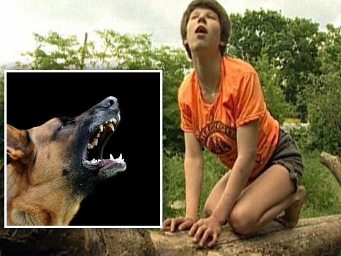 Girl lived with dogs six years after left to fend for herself by parents Oxana Malaya | कुत्र्यांसारखी चालू आणि भुंकू लागली मुलगी, नंतर समोर आला आई-वडिलांचा कारनामा Girl lived with dogs six years after left to fend for herself by parents Oxana Malaya | कुत्र्यांसारखी चालू आणि भुंकू लागली मुलगी, नंतर समोर आला आई-वडिलांचा कारनामा