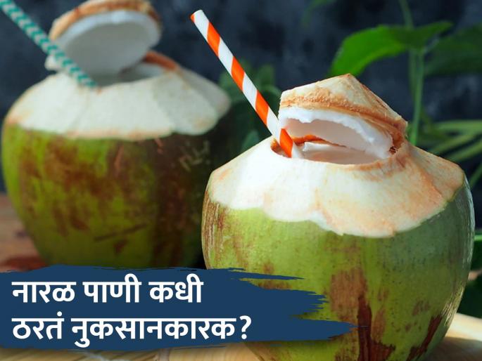 When is coconut water harmful to the body? Do you drink every day? | नारळ पाणी शरीरासाठी कधी ठरतं नुकसानकारक? तुम्ही रोज पिता का? When is coconut water harmful to the body? Do you drink every day? | नारळ पाणी शरीरासाठी कधी ठरतं नुकसानकारक? तुम्ही रोज पिता का?
