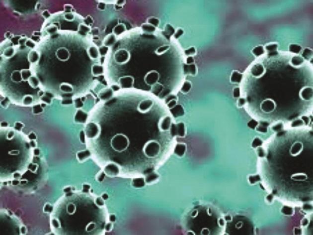 CoronaVirus: 16 new corona patients in Sangli, total number 167 | CoronaVirus : सांगलीत १६ नवे कोरोनाचे रुग्ण, एकूण संख्या १६७ CoronaVirus: 16 new corona patients in Sangli, total number 167 | CoronaVirus : सांगलीत १६ नवे कोरोनाचे रुग्ण, एकूण संख्या १६७