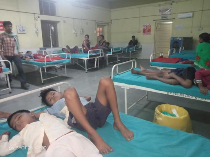 Poisoning of sixteen children by accidentally eating poisonous seeds while playing; Incidents in Chandrapur district | हुबेहूब काजूसारख्या दिसणाऱ्या बिया खाल्याने सोळा मुलामुलींना विषबाधा; भंडारा जिल्ह्यातील घटना Poisoning of sixteen children by accidentally eating poisonous seeds while playing; Incidents in Chandrapur district | हुबेहूब काजूसारख्या दिसणाऱ्या बिया खाल्याने सोळा मुलामुलींना विषबाधा; भंडारा जिल्ह्यातील घटना