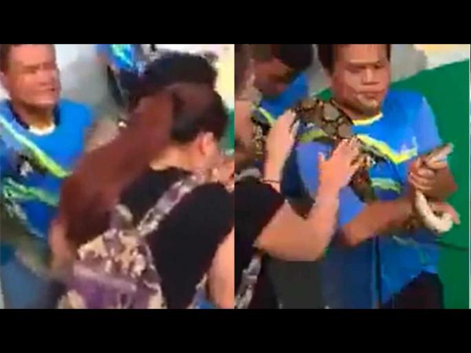 Shocking snake video : Python bites girl as she tries to kiss on its head | VIDEO : अजगराला किस करत होती तरूणी, अचानक त्यानेच मारला तिला दंश आणि मग... Shocking snake video : Python bites girl as she tries to kiss on its head | VIDEO : अजगराला किस करत होती तरूणी, अचानक त्यानेच मारला तिला दंश आणि मग...
