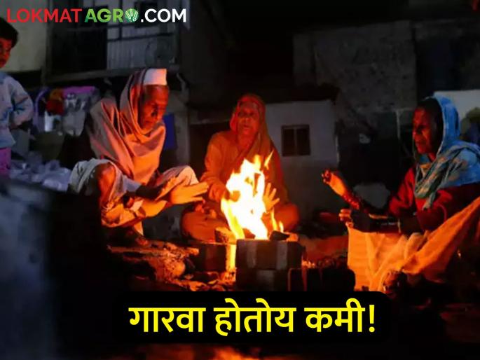 What about the cold! This was the minimum temperature in the state this morning | थंडीची काय बात! राज्यात आज सकाळी असे होते किमान तापमान What about the cold! This was the minimum temperature in the state this morning | थंडीची काय बात! राज्यात आज सकाळी असे होते किमान तापमान