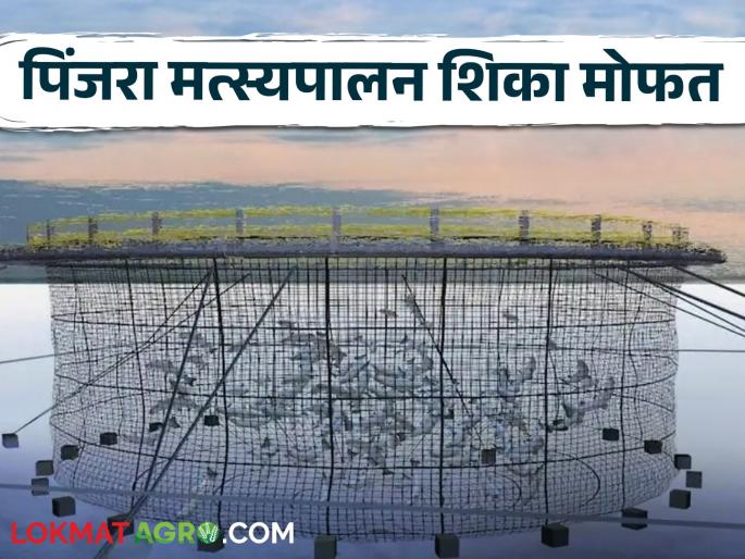 Cage Aquaculture: Learn cage fish farming for free! Fisheries Department organized a 3-day workshop in Pune | Cage Aquaculture : मोफत शिका पिंजऱ्यातील मासेपालन! मत्स्यव्यवसाय विभागाने पुण्यात आयोजित केली ३ दिवसीय कार्यशाळा Cage Aquaculture: Learn cage fish farming for free! Fisheries Department organized a 3-day workshop in Pune | Cage Aquaculture : मोफत शिका पिंजऱ्यातील मासेपालन! मत्स्यव्यवसाय विभागाने पुण्यात आयोजित केली ३ दिवसीय कार्यशाळा