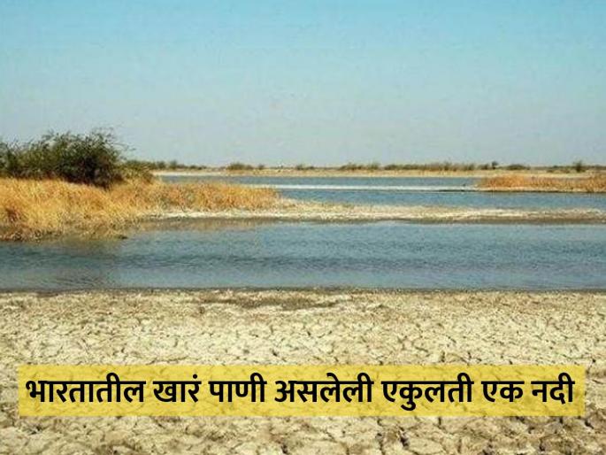 India's only river luni doesnt fall in any ocean | भारतातील एक अशी नदी ज्यातील पाणी असतं खारं, वाहता वाहता अचानक होते गायब! India's only river luni doesnt fall in any ocean | भारतातील एक अशी नदी ज्यातील पाणी असतं खारं, वाहता वाहता अचानक होते गायब!