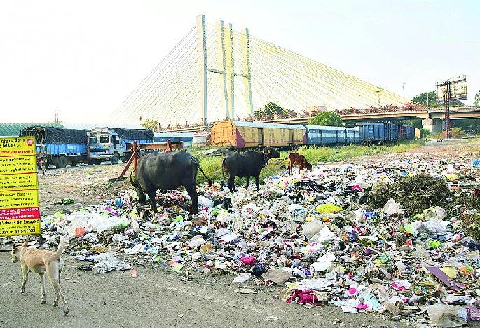 smart nagpur campaign only on paper | ‘स्मार्ट सिटी’ म्हणतात ती हीच का?