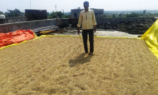 Farmers families in Amravati district will be tired in drying of beans | सोयाबीन वाळवताना अमरावती जिल्ह्यातील शेतकरी कुटुंबे हवालदील Farmers families in Amravati district will be tired in drying of beans | सोयाबीन वाळवताना अमरावती जिल्ह्यातील शेतकरी कुटुंबे हवालदील