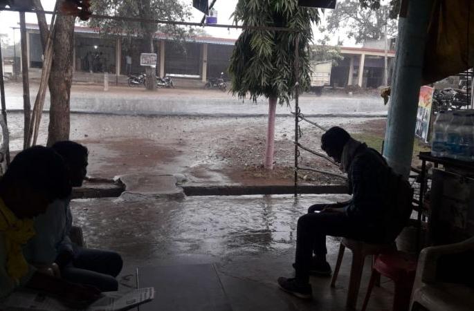 rains in Gadchiroli; Hit the paddy | गडचिरोलीत मुसळधार पाऊस; धानाला फटका rains in Gadchiroli; Hit the paddy | गडचिरोलीत मुसळधार पाऊस; धानाला फटका