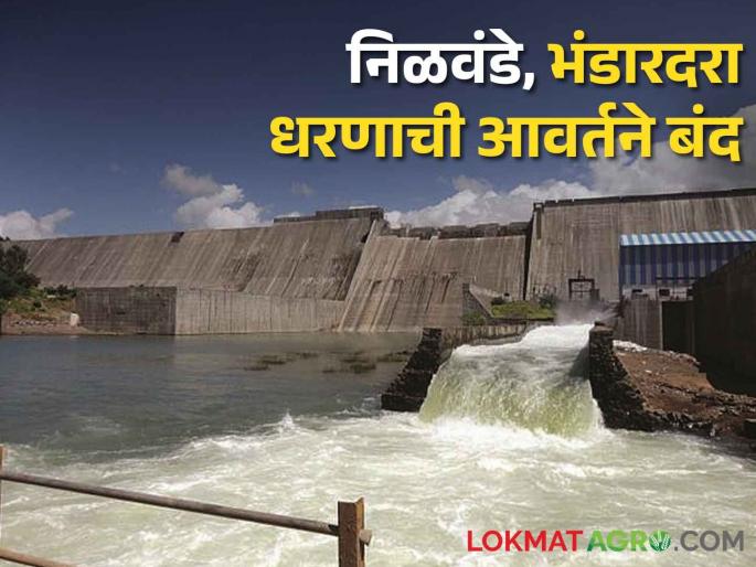 Bhandardara, Nilwande dam revisions completely closed, now only two revisions will be given | भंडारदरा, निळवंडे धरणाची आवर्तने पूर्णपणे बंद, आता केवळ दिली जाणार दोन आवर्तने Bhandardara, Nilwande dam revisions completely closed, now only two revisions will be given | भंडारदरा, निळवंडे धरणाची आवर्तने पूर्णपणे बंद, आता केवळ दिली जाणार दोन आवर्तने