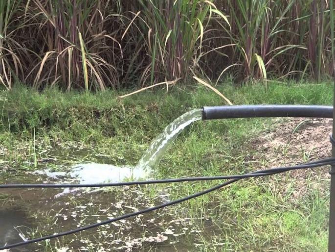 Criminal cases filed against farmers for water | पाण्यासाठी शेतक-यांवर दाखल होणार गुन्हे Criminal cases filed against farmers for water | पाण्यासाठी शेतक-यांवर दाखल होणार गुन्हे
