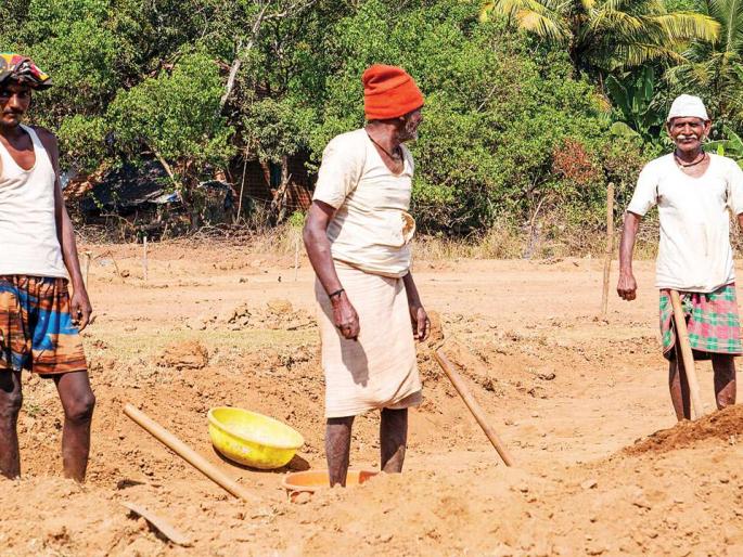 Palghar is the first state in the state to provide employment | रोजगार उपलब्ध करून देण्यात पालघर राज्यात प्रथमस्थानी Palghar is the first state in the state to provide employment | रोजगार उपलब्ध करून देण्यात पालघर राज्यात प्रथमस्थानी